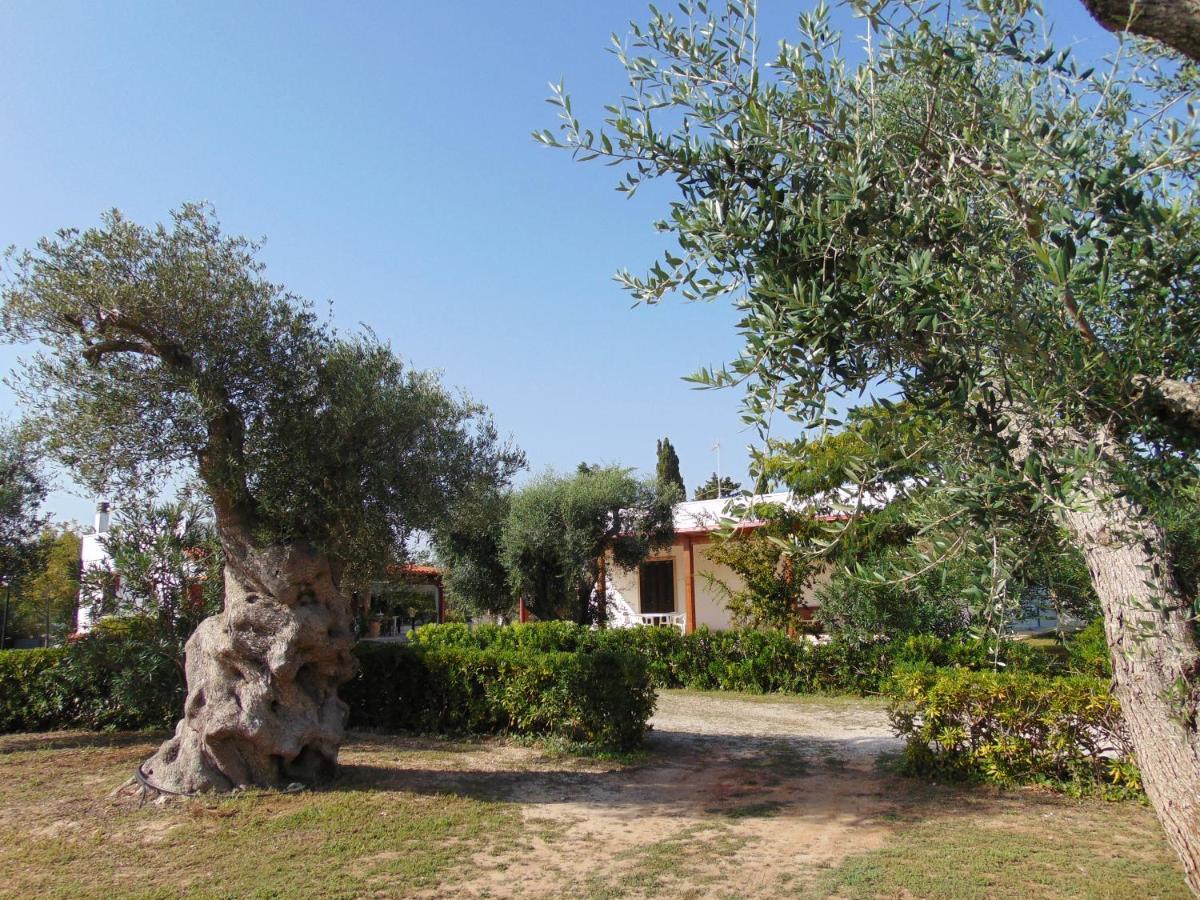 Agriturismo Villa Tommaso توري ديل أورسو المظهر الخارجي الصورة