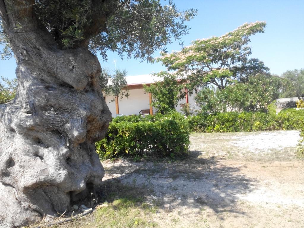 Agriturismo Villa Tommaso توري ديل أورسو المظهر الخارجي الصورة